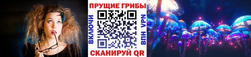 где найти наркотики  Судогда  Псилоцибиновые грибы Magic Shrooms 